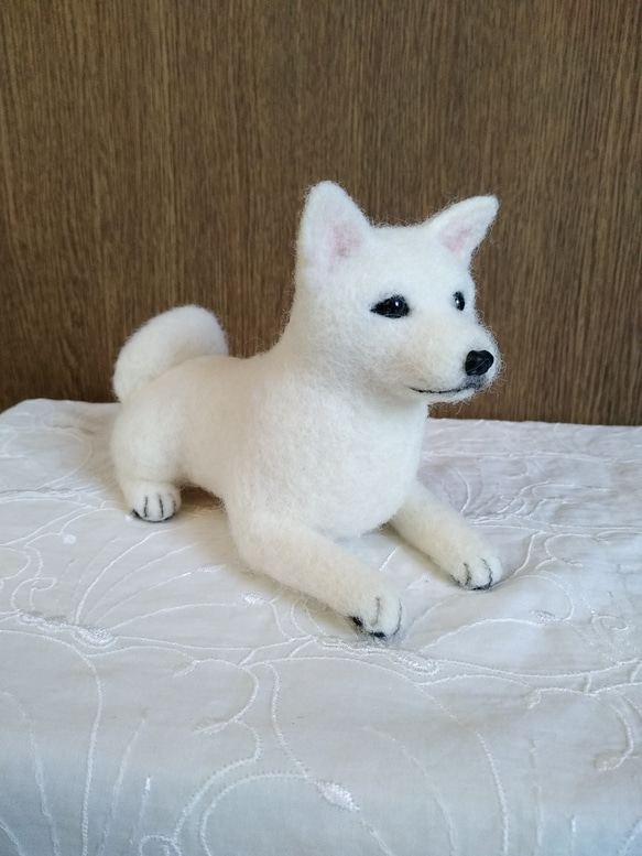 羊毛フェルト　日本犬　紀州犬　白い犬 2枚目の画像