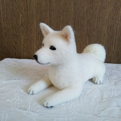 羊毛フェルト　日本犬　紀州犬　白い犬 3枚目の画像