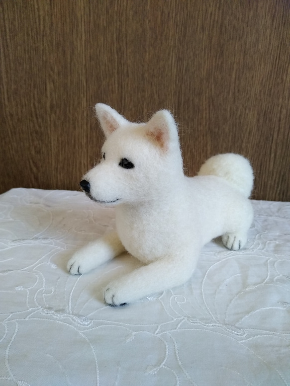 羊毛フェルト　日本犬　紀州犬　白い犬 3枚目の画像