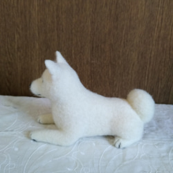 羊毛フェルト　日本犬　紀州犬　白い犬 4枚目の画像