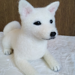 羊毛フェルト　日本犬　紀州犬　白い犬 6枚目の画像