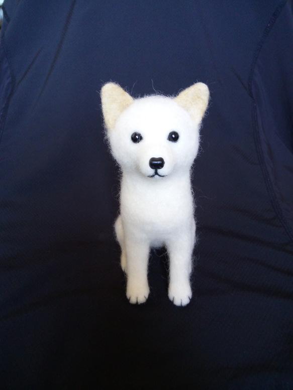km様 犬 羊毛フェルト