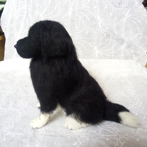 羊毛フェルト 犬 ニューファンドランド 羊毛フェルト masapan