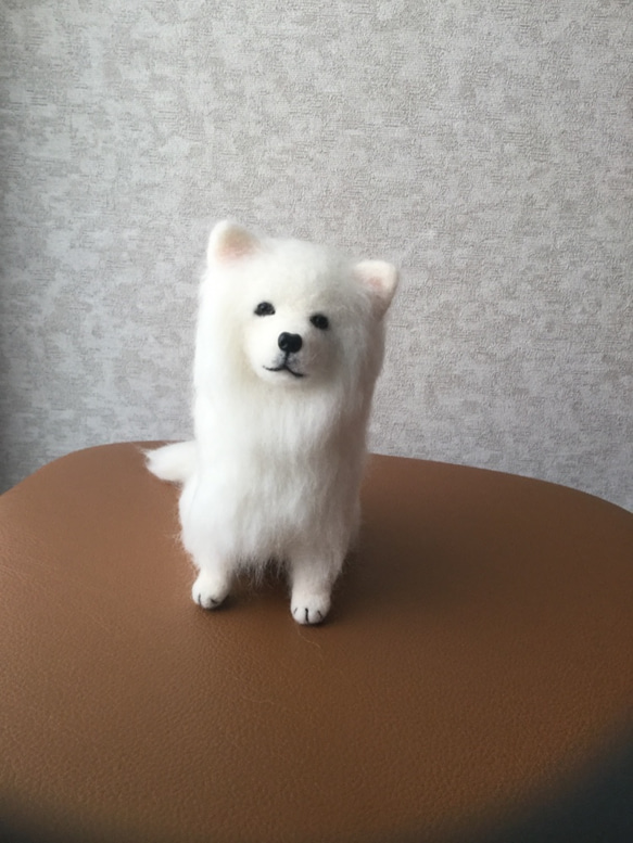 羊毛フェルト 犬 サモエド 羊毛フェルト masapan 通販 4571287