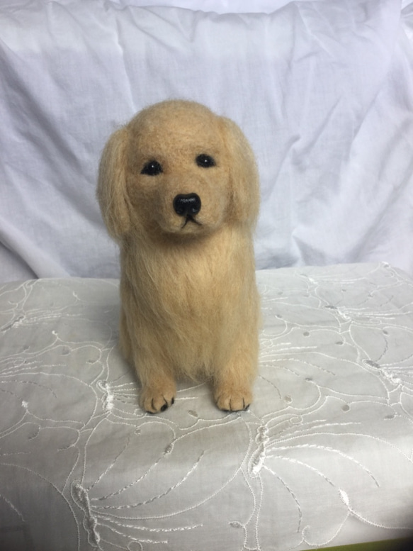 羊毛フェルト 犬 ゴールデンレトリバー 羊毛フェルト masapan 通販