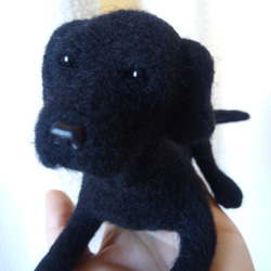 羊毛フェルト 犬  黒ラブラドールレトリバー 2枚目の画像