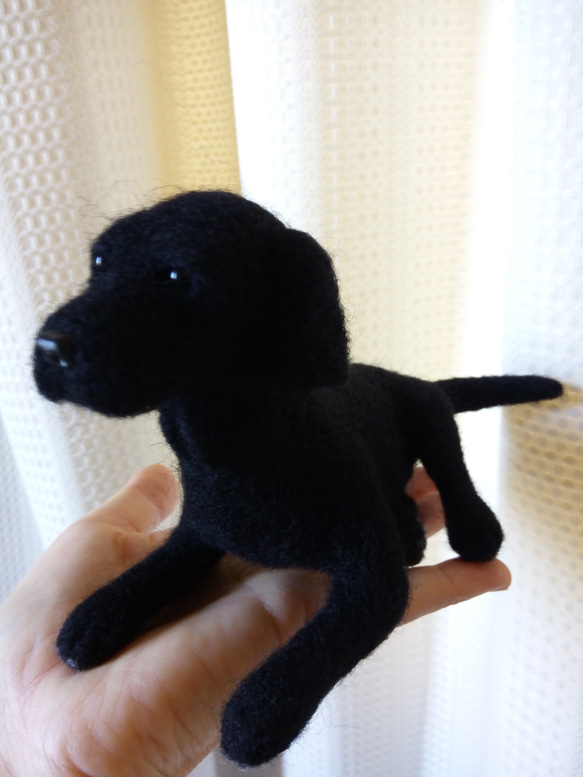 羊毛フェルト 犬  黒ラブラドールレトリバー 5枚目の画像