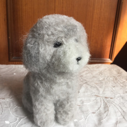 羊毛フェルト 犬 トイプードル 5枚目の画像