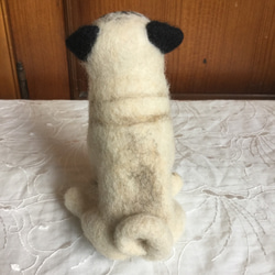 羊毛フェルト 犬 パグ 3枚目の画像