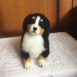 羊毛フェルト 犬 バーニーズマウンテンドッグ 羊毛フェルト masapan
