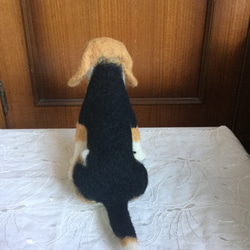 羊毛フェルト 犬 ビーグル おすわり 3枚目の画像