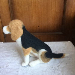 羊毛フェルト 犬 ビーグル おすわり 4枚目の画像