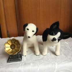 羊毛フェルト 蓄音機の犬とボストンテリア 5枚目の画像
