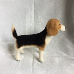 羊毛フェルト 犬 ビーグル 立ち姿 2枚目の画像