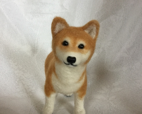 しばいぬくまちゃん　（キャメル）　羊毛フェルト 羊毛フェルト 柴犬
