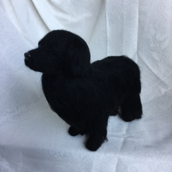 羊毛フェルト 犬 ニューファンドランド 3枚目の画像