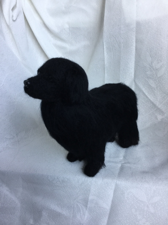 羊毛フェルト 犬 ニューファンドランド 3枚目の画像