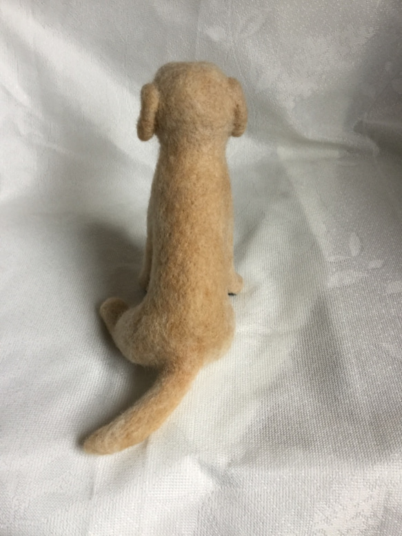羊毛フェルト 犬 ラブラドール 5枚目の画像