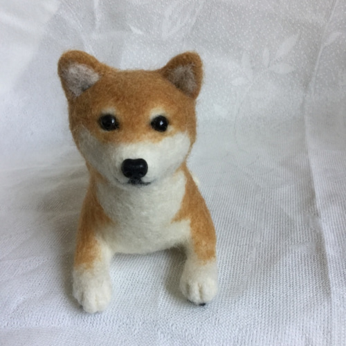 羊毛フェルト 犬 柴犬 羊毛フェルト masapan 通販 5824557