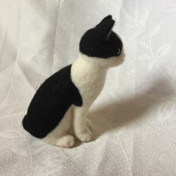 羊毛フェルト 猫 ハチワレ 5枚目の画像