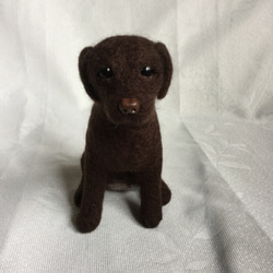羊毛フェルト 犬 ラブラドールレトリバー チョコ 色濃いめ 1枚目の画像