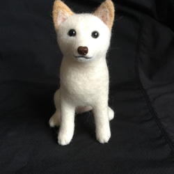 モンブラン様専用 羊毛フェルト 犬 白柴ちゃん - メルカリ