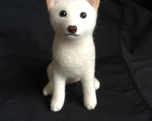 0_4b2aef50e4db6e1722664159beb1