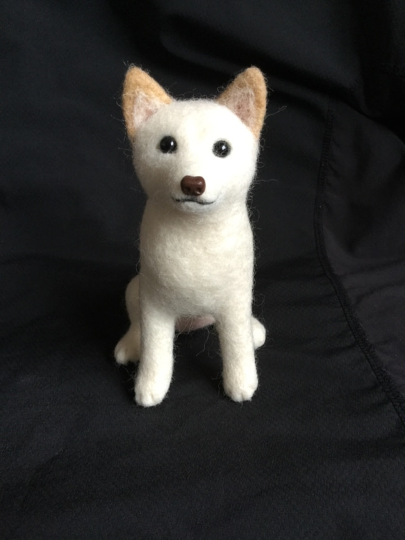 羊毛フェルト 犬 柴犬 白柴 羊毛フェルト masapan 通販 6172885 羊毛フェルト 犬 柴犬 白柴 羊毛フェルト masapan 通販 6172885