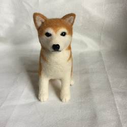 羊毛フェルト犬　モコクル Amazon.co.jp: ハマナカ フェルト羊毛キット ふわふわ羊毛で