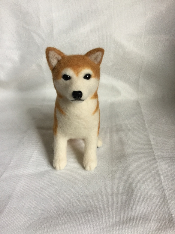 羊毛フェルト 犬 柴犬