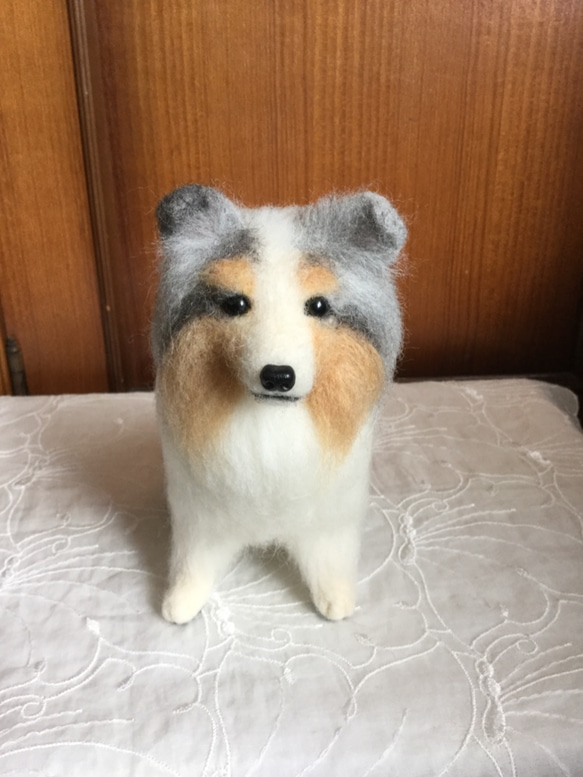 羊毛フェルト 犬 シェルティ ブルーマール 1枚目の画像