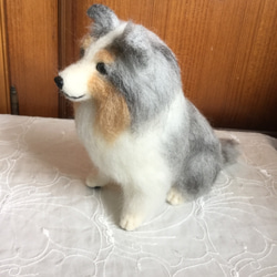 羊毛フェルト 犬 シェルティ ブルーマール 2枚目の画像