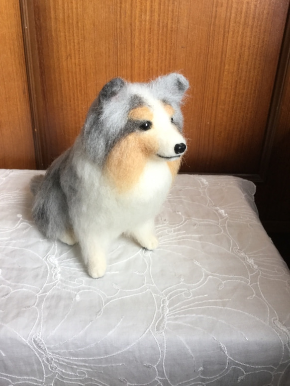 羊毛フェルト 犬 シェルティ ブルーマール 3枚目の画像