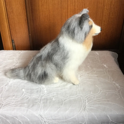 羊毛フェルト 犬 シェルティ ブルーマール 4枚目の画像