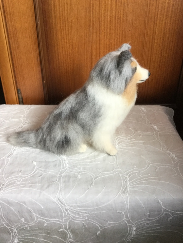 羊毛フェルト 犬 シェルティ ブルーマール 4枚目の画像