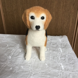 羊毛フェルト 犬 ビーグル 1枚目の画像