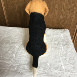 羊毛フェルト 犬 ビーグル 5枚目の画像