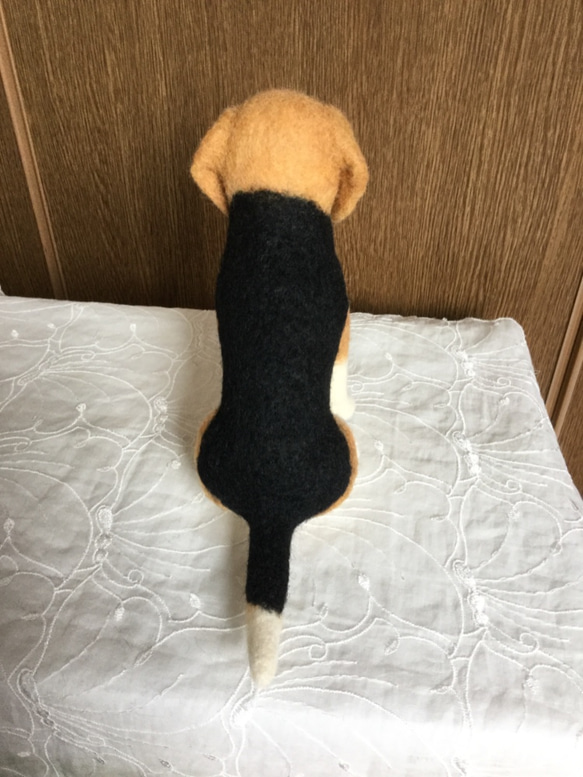 羊毛フェルト 犬 ビーグル 5枚目の画像