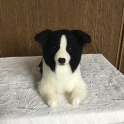 羊毛フェルト 犬 ボーダーコリー 1 羊毛フェルト masapan 通販 7549287
