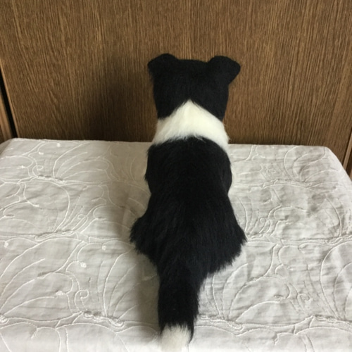 羊毛フェルト 犬 ボーダーコリー 1 羊毛フェルト masapan 通販