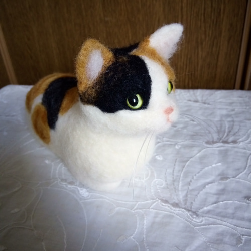 羊毛フェルト オーダー エキゾチック2 メインクーン