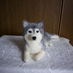 羊毛フェルト 犬 シベリアンハスキー 羊毛フェルト masapan 通販