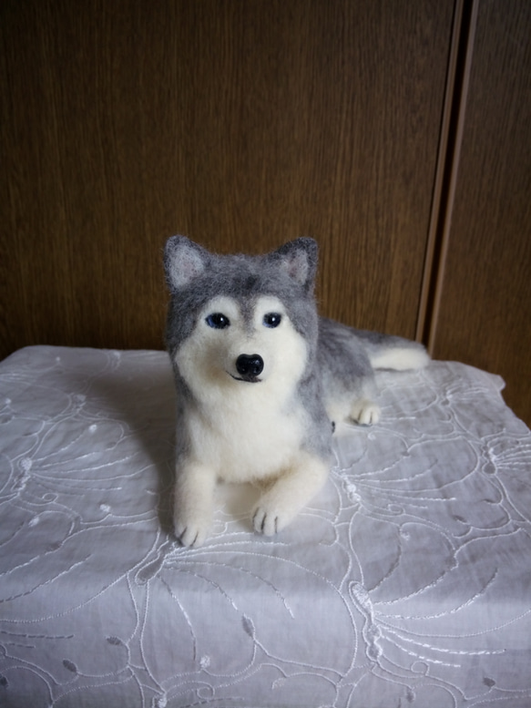 羊毛フェルト　シベリアンハスキー 羊毛フェルト シベリアンハスキーさん 羊毛フェルト 羊毛わんこ