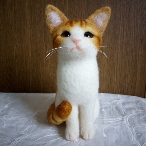 たぬき 希少 猫 羊毛フェルト 羊毛フェルト 8587477｜Creema 通販 masapan 羊毛フェルト
