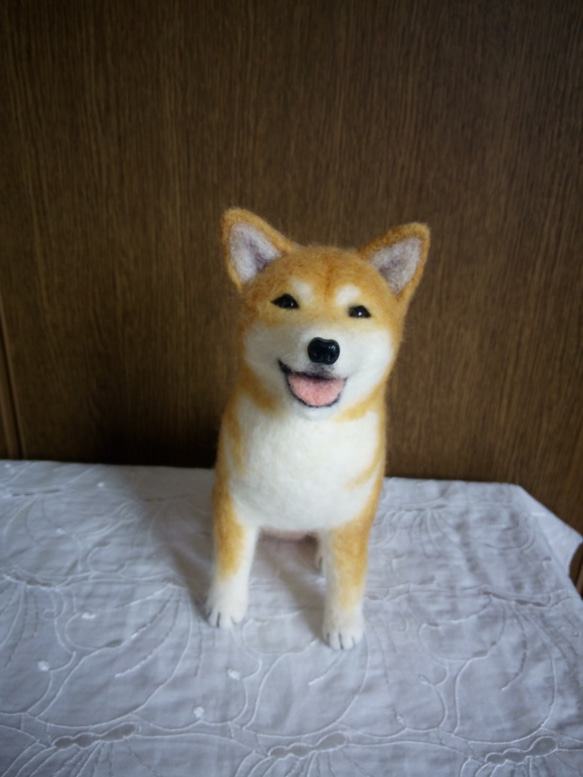 羊毛フェルト 柴犬 おすわり舌出し 羊毛フェルト masapan 通販