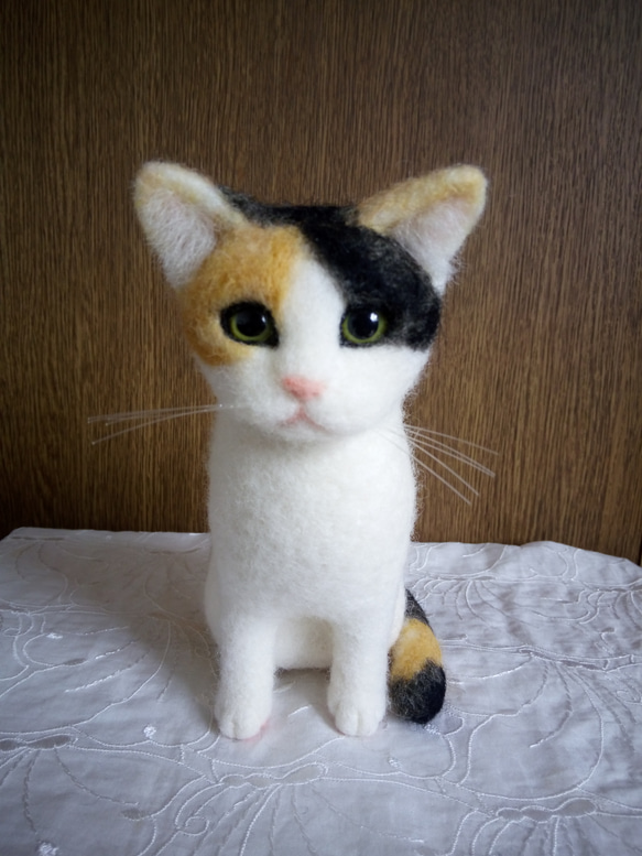 直営店に限定 羊毛フェルト 猫 羊毛フェルト masapan 通販 9848766｜Creema 羊毛フェルト