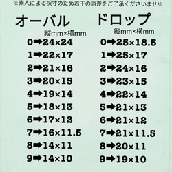 《送料無料》秋色ベッコウジェルネイルチップ 4枚目の画像