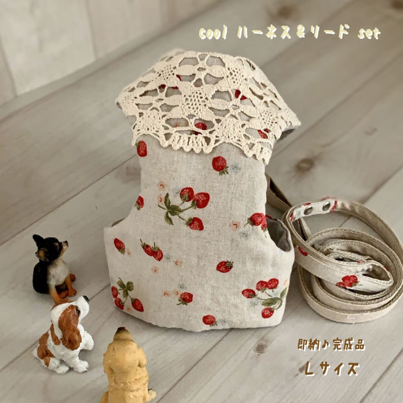 ＜即納＞【Ｌ】**coolポケット**ハーネス＆リードset（いちご＋レース）／コットン＆リネン／小型犬 1枚目の画像