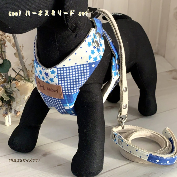 ＜即納＞【Ｍ】**coolポケット**ハーネス＆リードset（花パッチ＋革タグ）／コットン／小型犬 3枚目の画像