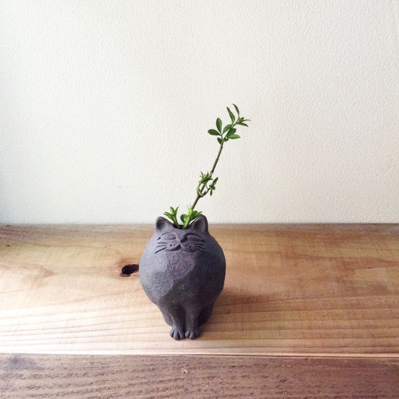 磨尖貓/黑色（小）花瓶/花盆 第2張的照片